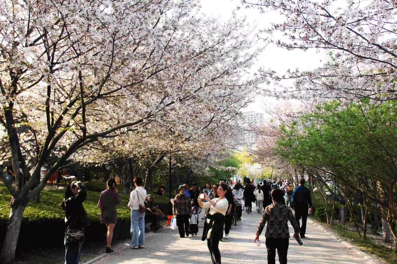 bbc1581a703d01ace3387c36df597e01 bbc1581a703d01ace3387c36df597e01.jpg