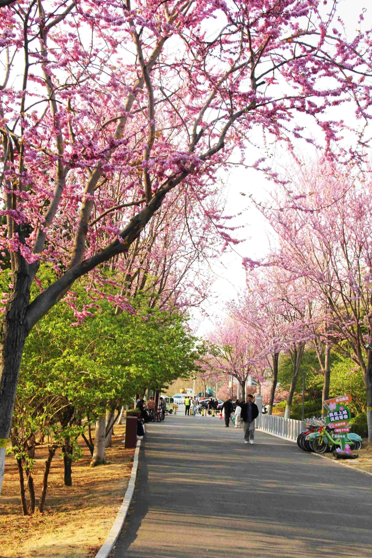 e613da5d79e731dbac3c626d3b6baa7f e613da5d79e731dbac3c626d3b6baa7f.jpg